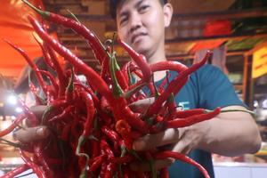 Harga cabai naik di Bogor