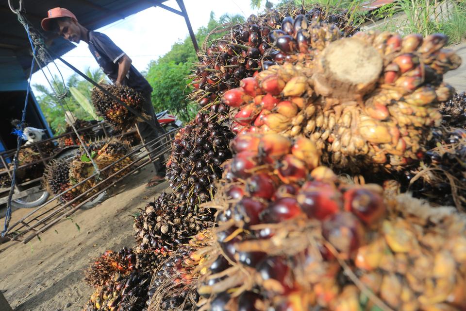 hilirisasi pertanian, amran sulaiman