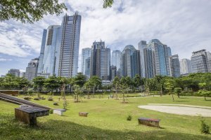 Hutan Kota GBK. Dok/GBK.