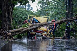 Pohon tumbang akibat hujan angin di Tangerang