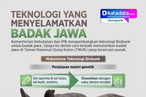 INFOGRAFIK: Teknologi yang Menyelamatkan Badak Jawa
