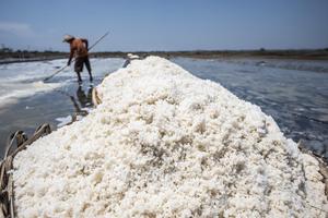 Hasil panen garam rakyat di Jepara turun