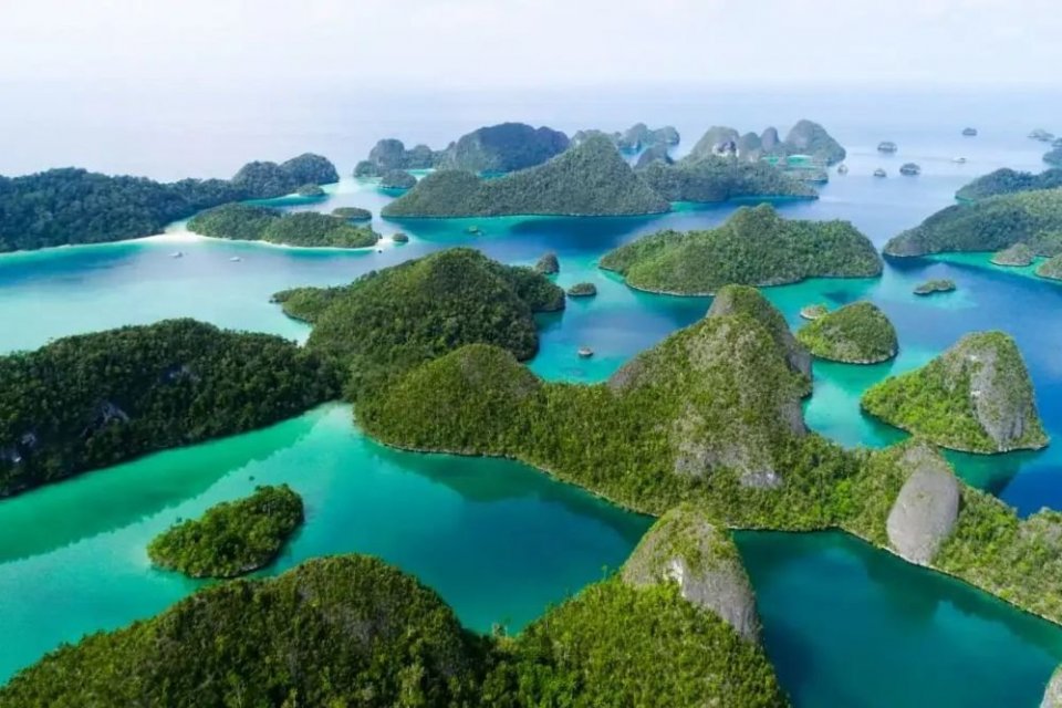 raja ampat cagar biosfer unesco