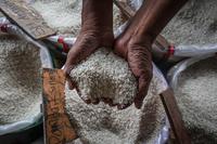 Beras penyumbang deflasi September 2025