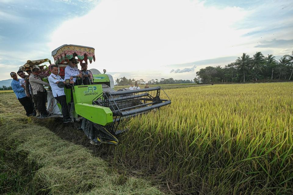 Wali Kota Kendari Siska Karina Imran (kedua kanan) bersama Sekretaris Daerah Kota Kendari Amir Hasan (ketiga kanan) melakukan panen padi menggunakan mesin Combine Harvester di areal persawahan Amohalo, Kecamatan Baruga, Kendari, Sulawesi Tenggara, Rabu (8