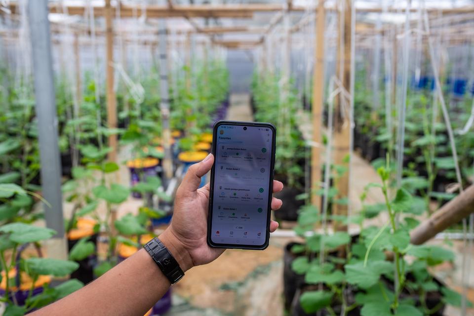 pertanian, karbon, kredit karbon