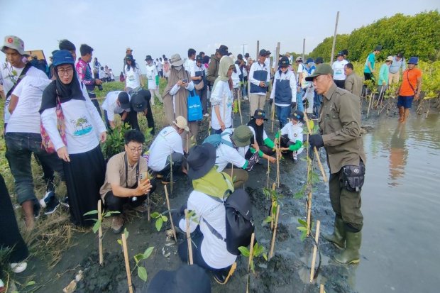 Para relawan saat menanam bibit mangrove di Pantai Tirang, Semarang (9/10). 