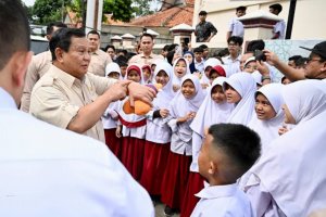 Program Prabowonomics