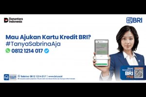 Sabrina BRI, Asisten Virtual BRI, bantu apply Kartu Kredit BRI via WhatsApp! Cek info promo, rekomendasi merchant, dan cek status pengajuan Anda.