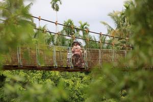 Target pembangunan 43 jembatan gantung selesai akhir 2025