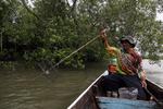 Pemanfaatan hutan mangrove di Deli Serdang