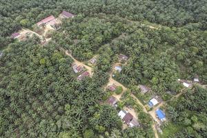 Permukiman Suku Batin Sembilan di tengah perkebunan sawit