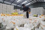 Produksi beras nasional hingga akhir 2025