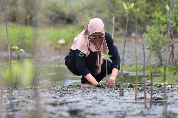 Delegasi Indonesia Pamerkan Strategi Restorasi Mangrove di COP30