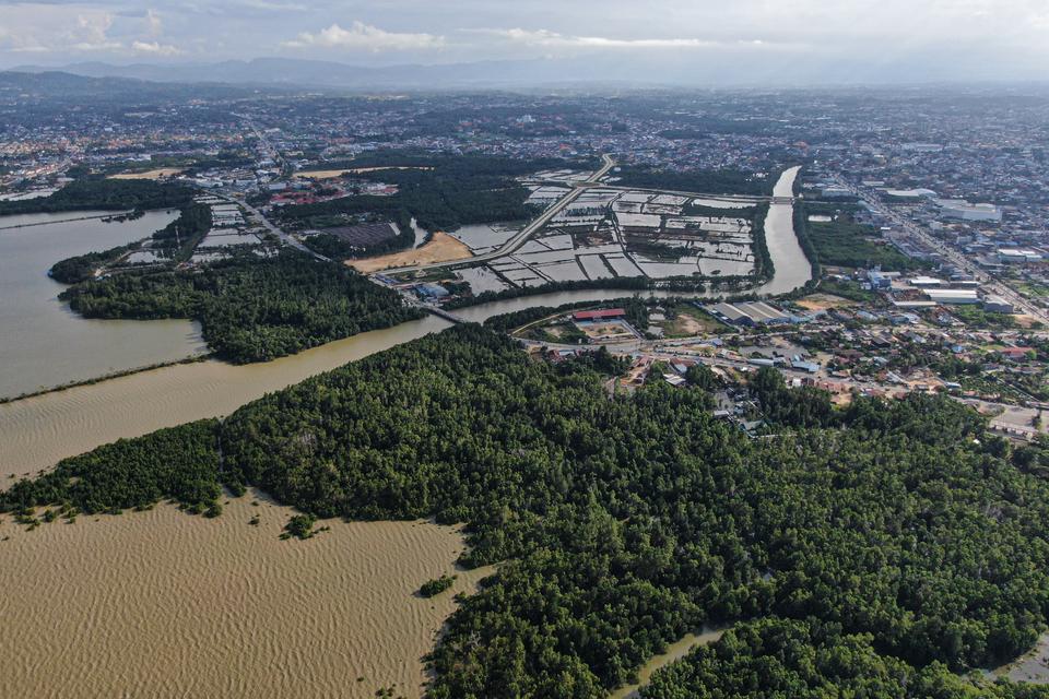 Karbon Berintegritas Tinggi Bakal Bawa Manfaat Bagi Lingkungan dan Masyarakat