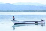Perahu Literasi bantuan BRI Peduli berlayar di perairan Tolitoli, Sulawesi Tengah.