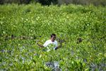 Rehabilitasi lahan mangrove yang beralih fungsi