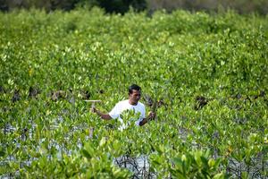 Rehabilitasi lahan mangrove yang beralih fungsi