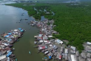 Potensi rehabilitasi mangrove di Sumut