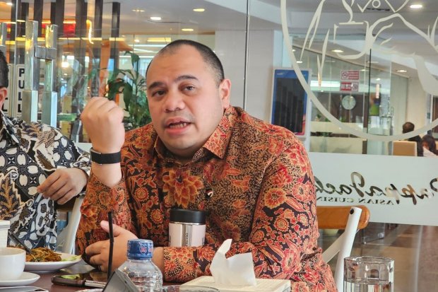 Chief Investment Officer Danantara Pandu Sjahrir