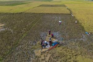 Produksi padi Jawa Barat meningkat