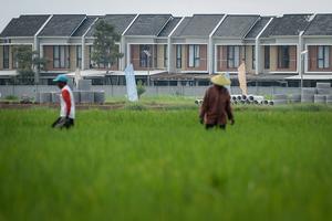 Upaya pemerintah atasi alih fungsi lahan sawah