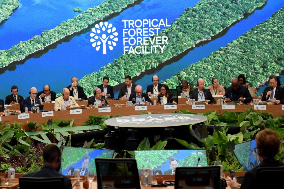 Inisiatif Tropical Forest Forever Facility (TFFF) untuk konservasi hutan hujan tropis dunia diluncurkan dalam Leaders Summit yang berlangsung di Belem, Brasil, pada 6 November 2025. Leaders Summit merupakan bagian dari COP30. 