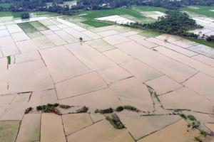Sawah terendam banjir di Deli Serdang