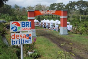 BRI Peduli dan Desa BRILiaN