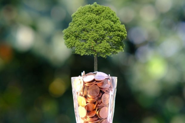 IWGFF Temukan Celah Greenwashing dalam Laporan Keberlanjutan Perbankan