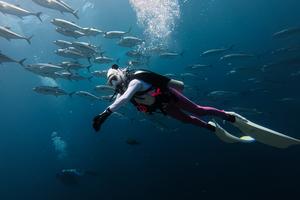 Keindahan bawah laut di Pulau Tomia