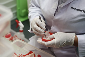 Abadi Lestari Indonesia (RCLO)