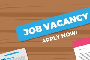 cara menghindari penipuan loker