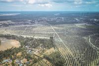 Dampak banjir di Aceh Tamiang