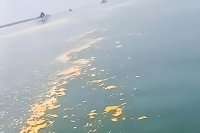 Tumpahan minyak di Pantai Tanjung Burung