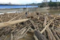 Sampah kayu di Bendungan Jamboe Aye