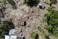 Gajah bersihkan puing kayu bencana Aceh