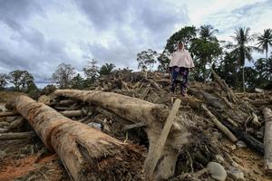 Desa Aek Garoga dipenuhi kayu pascabanjir bandang
