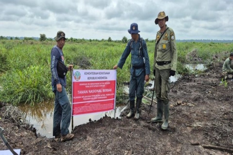 Kemenhut, sawit, TN Berbak Sembilang