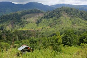 Perambahan kawasan hutan lindung di Abdya
