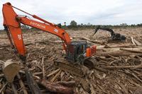 Pembersihan gelondongan kayu di Aceh Tamiang