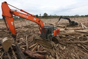 Pembersihan gelondongan kayu di Aceh Tamiang