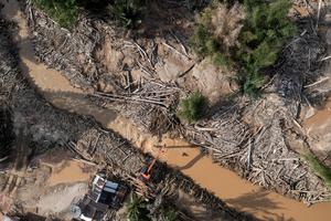 Pemanfaatan kembali sampah kayu