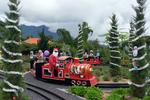 Wisata taman bunga di Tabanan