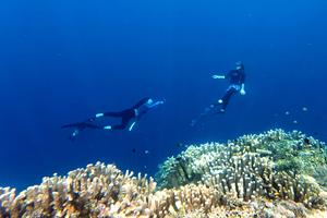 Peningkatan kunjungan wisatawan di Oluhuta Paradise