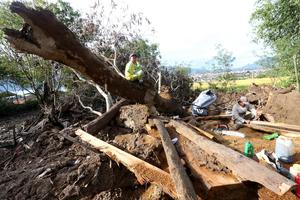 Korban bencana manfaatkan kayu gelondongan untuk membangun hunian