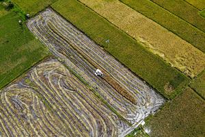 Luas panen dan produksi padi di Indonesia