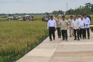 Presiden umumkan swasembada pangan 2025