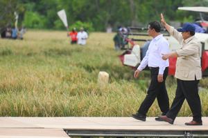 Presiden umumkan swasembada pangan 2025
