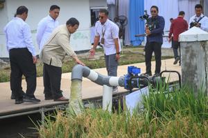 Presiden umumkan swasembada pangan 2025